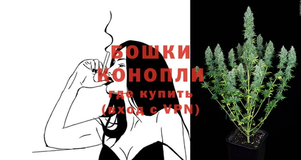 mix Богородицк
