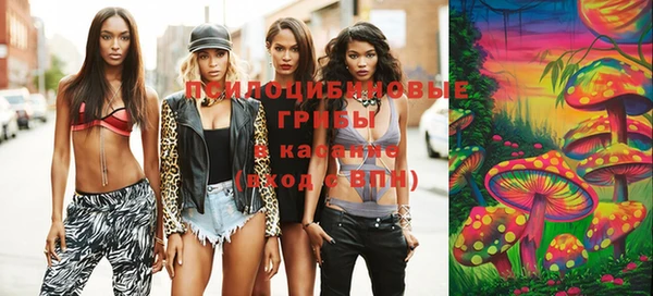 mix Богородицк
