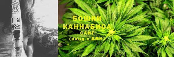 mix Богородицк