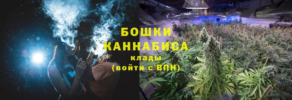 крисы Богданович