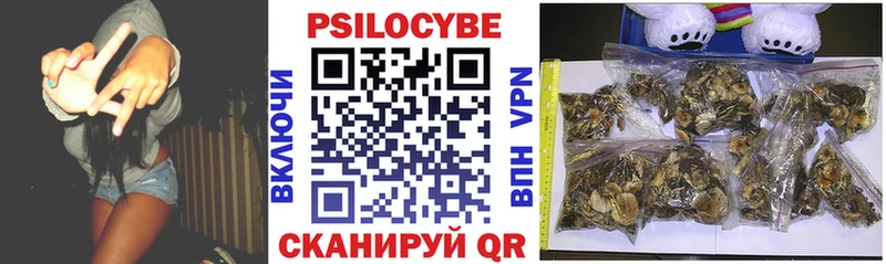 даркнет наркотические препараты  Шали  Галлюциногенные грибы Psilocybe 
